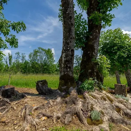 Horská chata Kuca Za Odmor Feniks 3 *